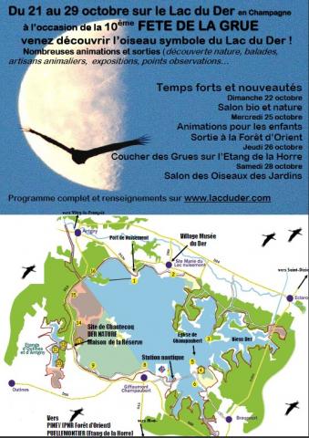 599a8a3d4515f-flyer