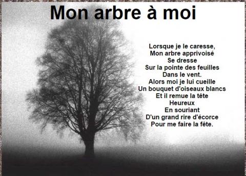 mon arbre à moi.jpg
